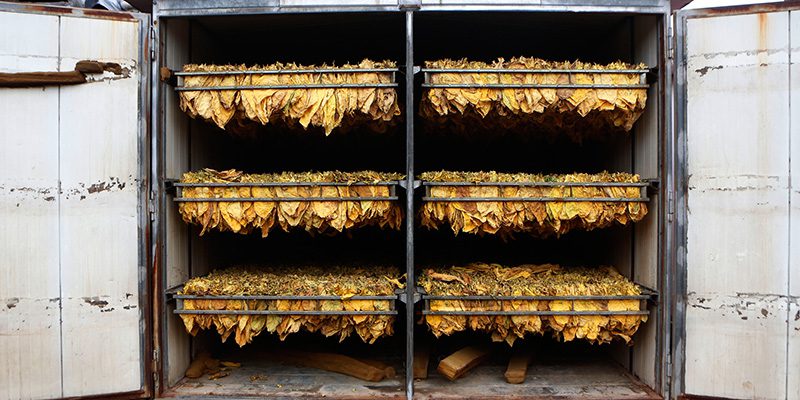 Dry Kiln in Hudson, North Carolina